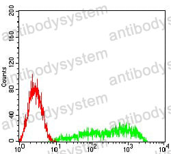 Anti-CD371/CLEC12A Antibody (R3Y15)
