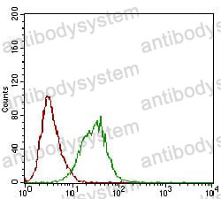 Anti-PLA2G12A Antibody (R3Y18)