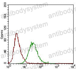Anti-PLA2G12A Antibody (R3Y19)