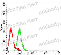 Anti-EZH1 Antibody (R3Y21)