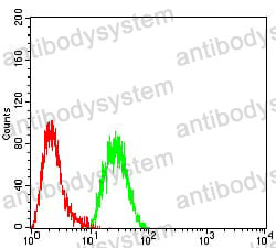 Anti-EZH1 Antibody (R3Y22)