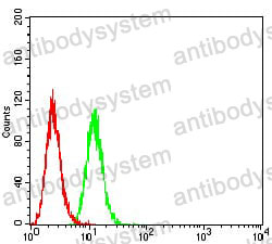 Anti-BCL2L2 Antibody (R3Y30)