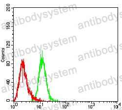 Anti-BCL2L2 Antibody (R3Y31)