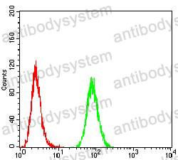 Anti-ATPIF1 Antibody (R3Y32)