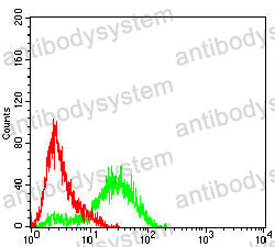 Anti-SLC22A12 Antibody (R3Y33)