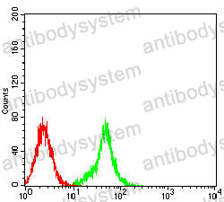Anti-DLL3 Antibody (R3Y35)