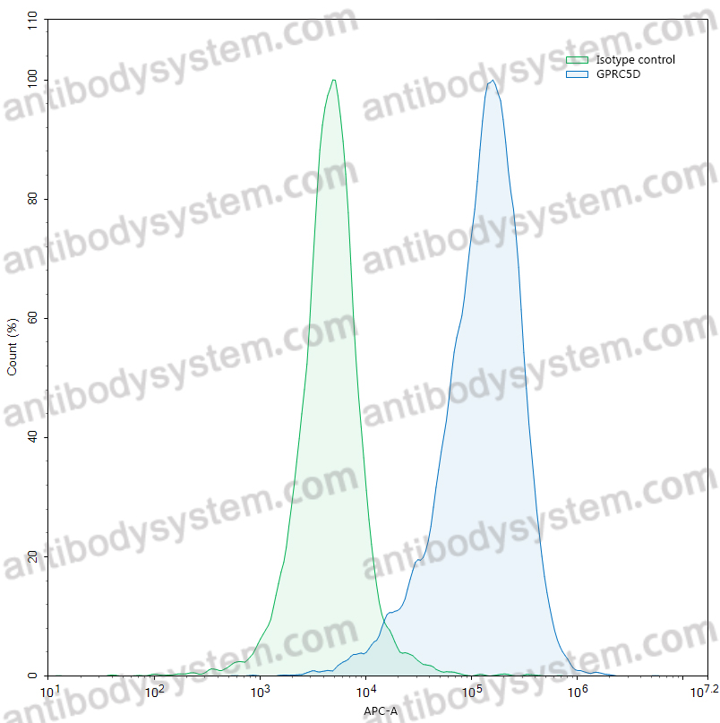 Anti-Human GPRC5D Antibody (SAA0764)