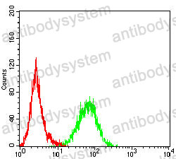 Anti-SCARB1/SR-BI/CLA-1/SRB1 Antibody (R3Y43)