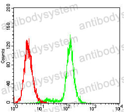 Anti-SCARB1/SR-BI/CLA-1/SRB1 Antibody (R3Y42)