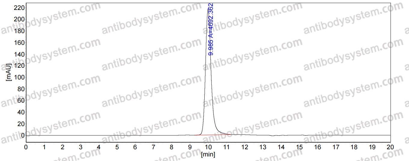 Anti-Human oxLDL Antibody (SAA0551)