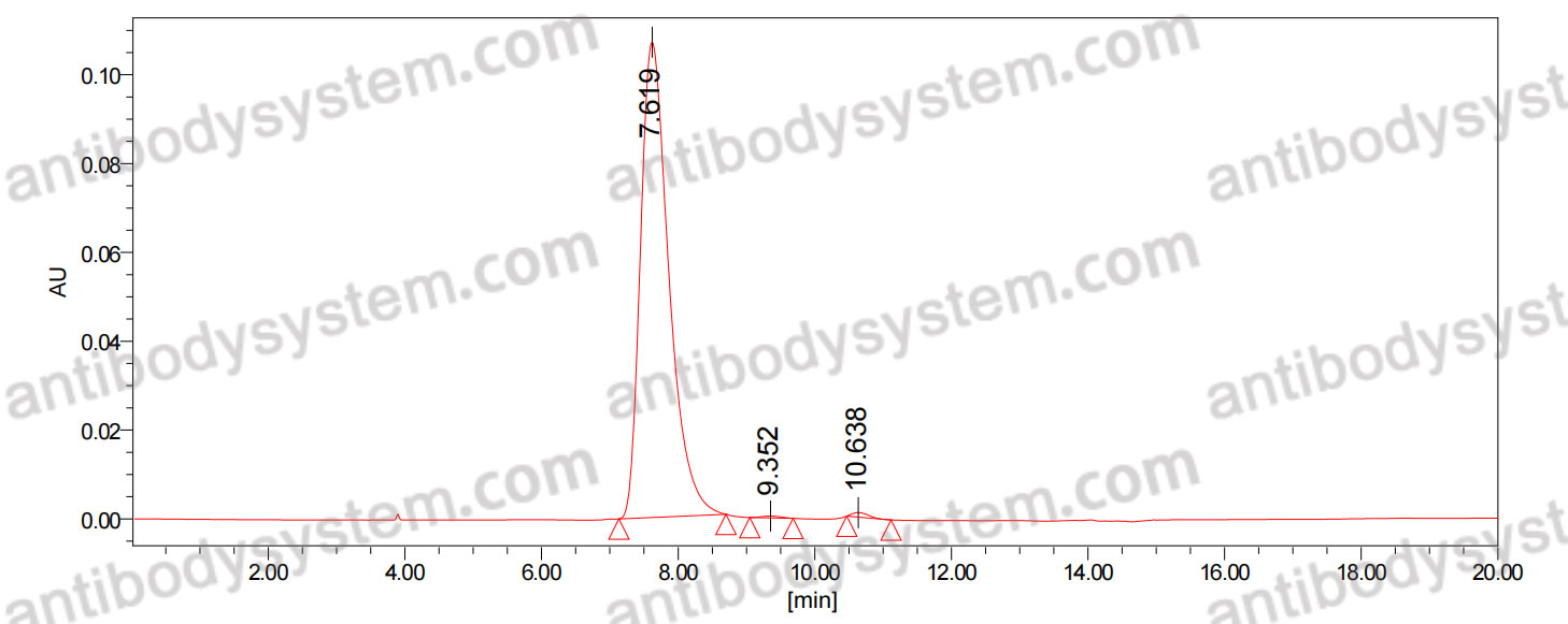 Anti-Human oxLDL Antibody (SAA0552)