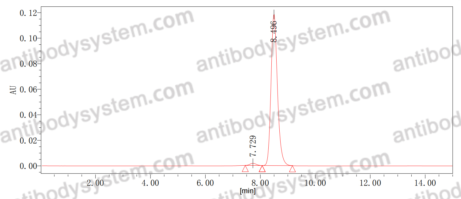 Anti-Human CD175s/STn Antibody (SGN-STNV)