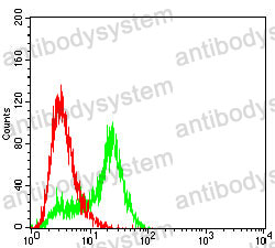 Anti-MRGPRX2/MRGX2 Antibody (R3Y46)