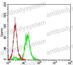 Anti-TRBC1 Antibody (R3Y49)