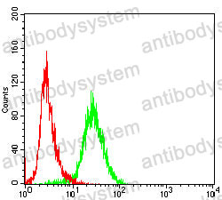 Anti-TRBC1 Antibody (R3Y50)