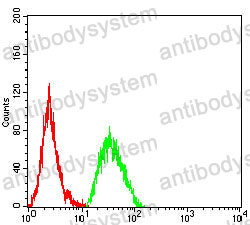 Anti-CLEC5A/MDL1 Antibody (R3Y52)
