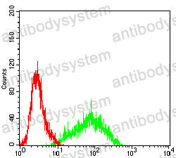 Anti-SIGLEC8/SAF-2 Antibody (R3Y53)
