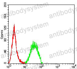 Anti-SETD2 Antibody (R3Y55)