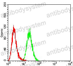 Anti-SETD7 Antibody (R3Y57)