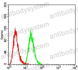 Anti-SETD7 Antibody (R3Y56)