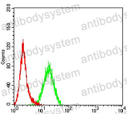 Anti-SMYD2 Antibody (R3Y58)
