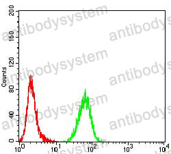 Anti-ASF1B Antibody (R3Y60)