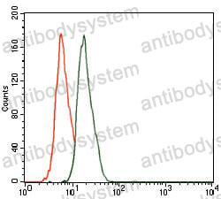 Anti-CBX8 Antibody (R3Y61)
