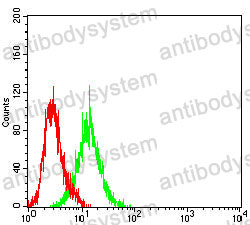 Anti-TIMD4/TIM-4 Antibody (R3Y63)