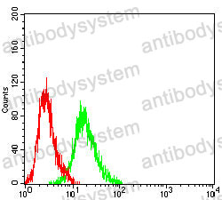 Anti-TIMD4/TIM-4 Antibody (R3Y62)