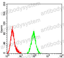 Anti-TET2 Antibody (R3Y66)