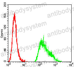 Anti-TET2 Antibody (R3Y67)