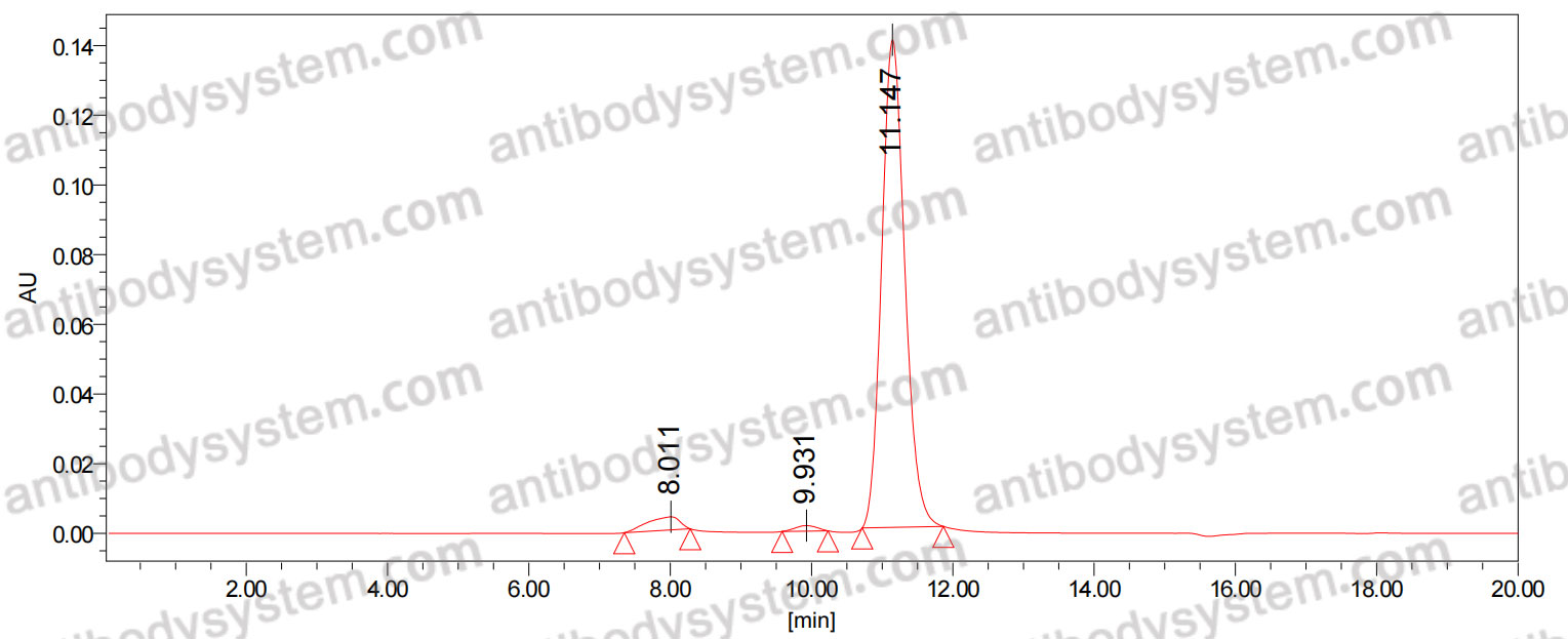 Anti-Human Transthyretin amyloidosis Antibody (6C1)