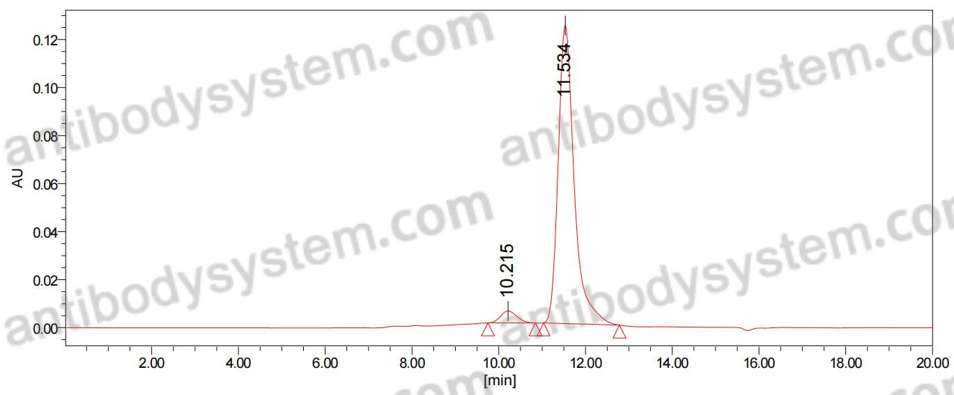 Anti-Phospho-CASC5 (pT943) Antibody (pMELT-KNL1)