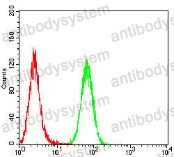 Anti-TSLPR/CRLF2 Antibody (R3Y72)