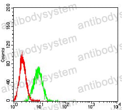 Anti-ATG4A Antibody (R3Y74)