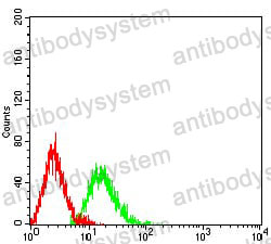 Anti-ATG4A Antibody (R3Y73)