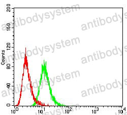 Anti-SIRT3 Antibody (R3Y76)