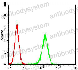 Anti-TRIM63 Antibody (R3Y79)