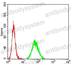 Anti-KDM3A Antibody (R3Y83)
