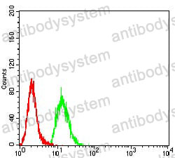 Anti-KDM3A Antibody (R3Y82)