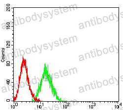 Anti-KMT5A Antibody (R3Y84)