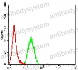 Anti-KMT5A Antibody (R3Y85)
