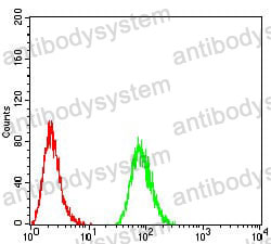 Anti-SPHK2 Antibody (R3Y89)