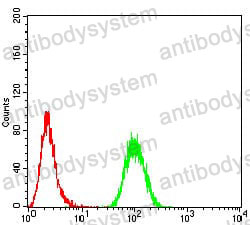 Anti-SPHK2 Antibody (R3Y90)