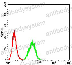Anti-DDX1 Antibody (R3Y91)