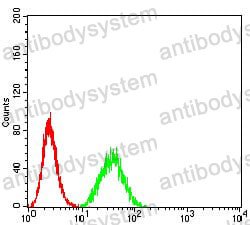 Anti-DDX1 Antibody (R3Y92)