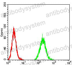 Anti-UHRF1 Antibody (R3Y94)
