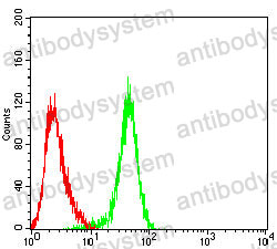 Anti-PDLIM7 Antibody (R3Y99)