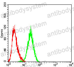 Anti-PDLIM7 Antibody (R3Y98)
