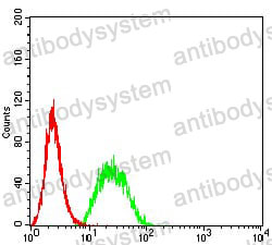 Anti-UFD1 Antibody (R3Z02)